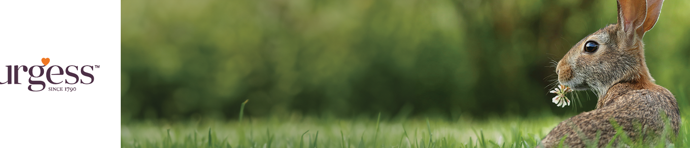 Burgess Pet Care - Treats