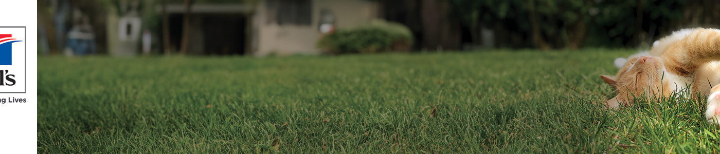 Hill's Pet Nutrition