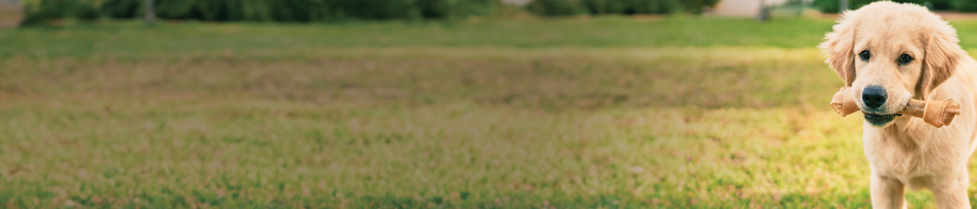 Puppy Products