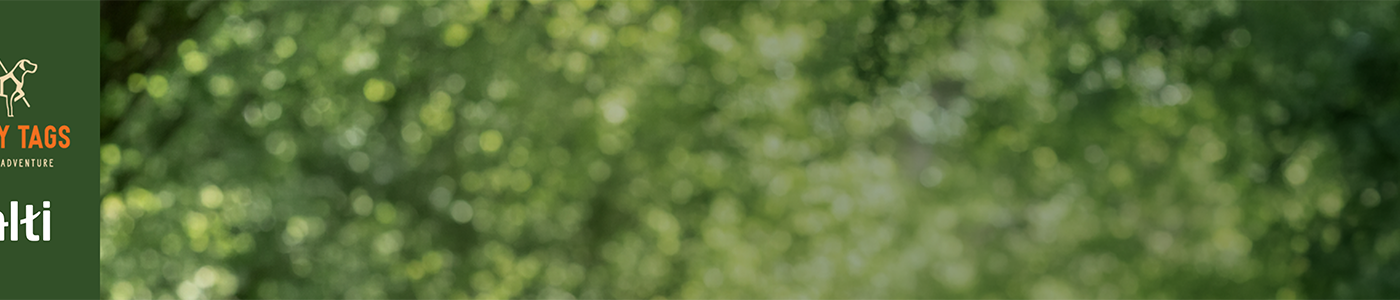 Save 25% with leads & collars