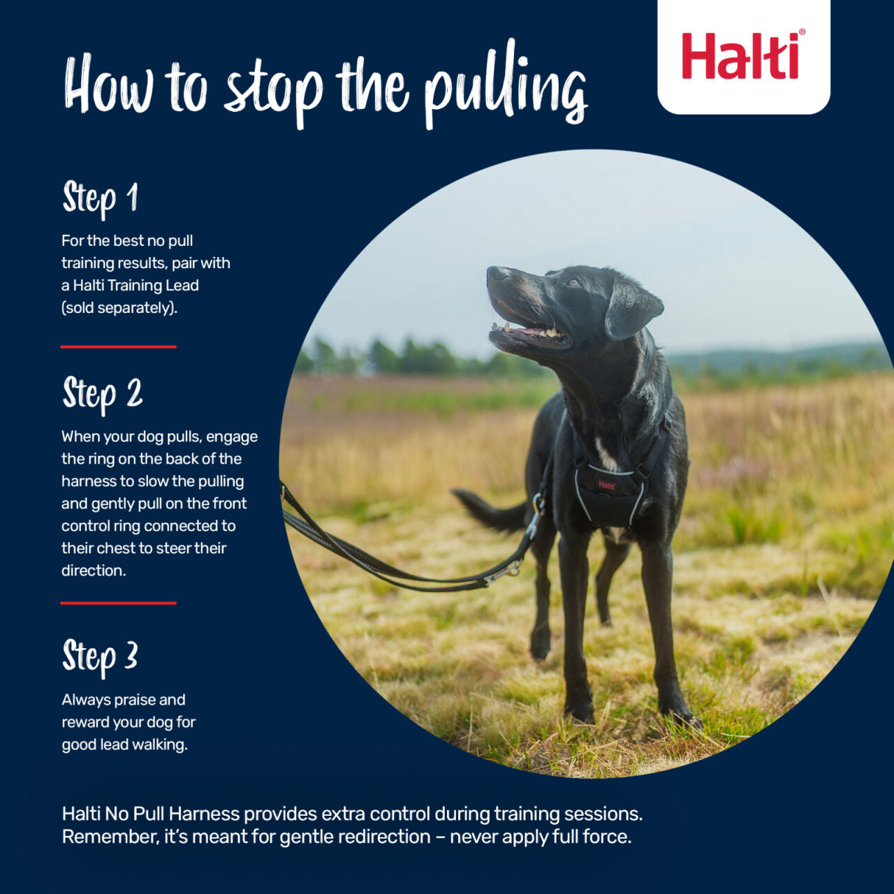 Halti No Pull Dog Harness