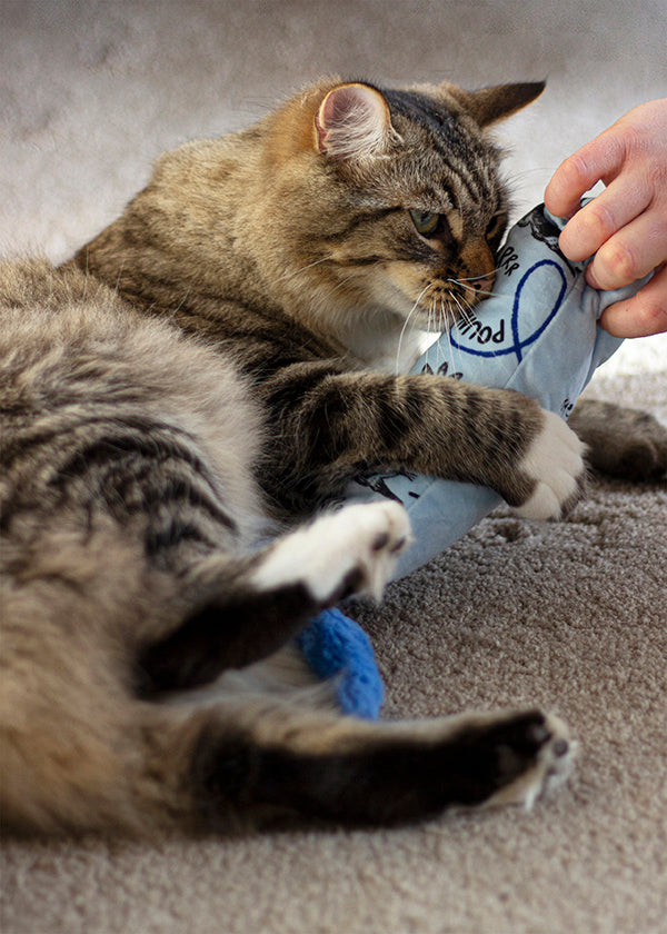 Battersea Cat Kicker Cat Toy