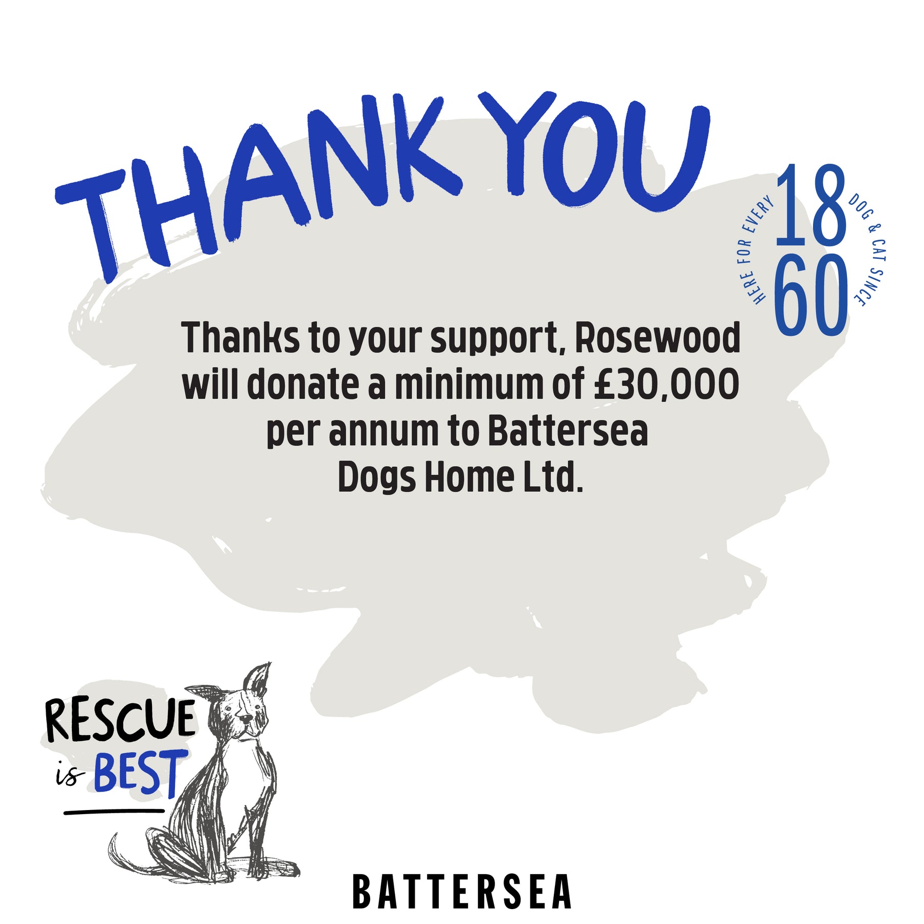 Battersea Rubber Belly Bear Dog Toy