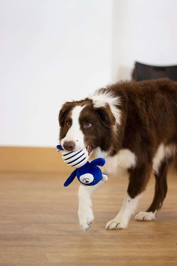 Battersea Rubber Belly Bear Dog Toy