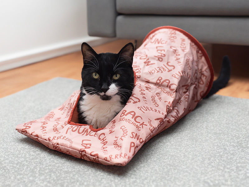 Battersea Peek-A-Boo Sack for Cats