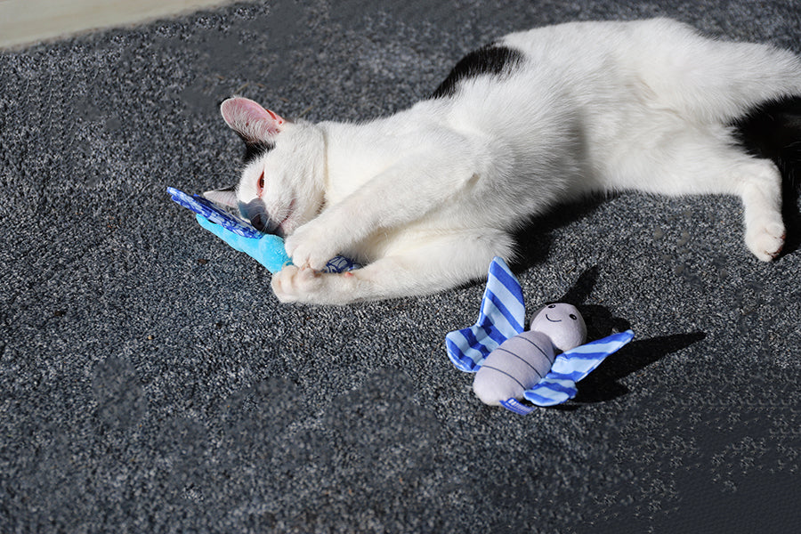 Battersea Butterfly & Dragonfly Duo Cat Toy