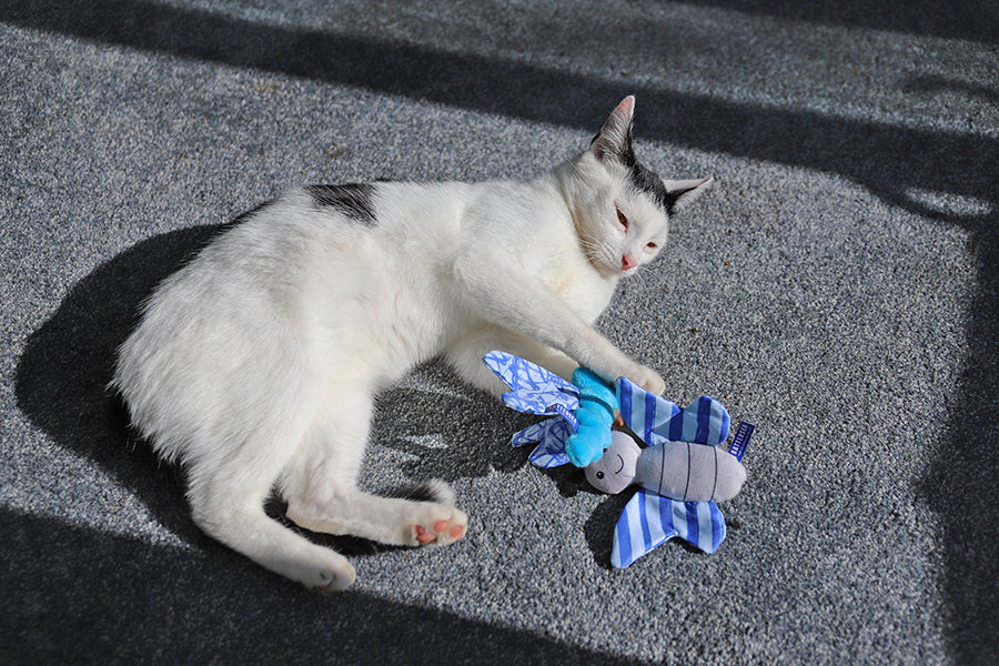 Battersea Butterfly & Dragonfly Duo Cat Toy