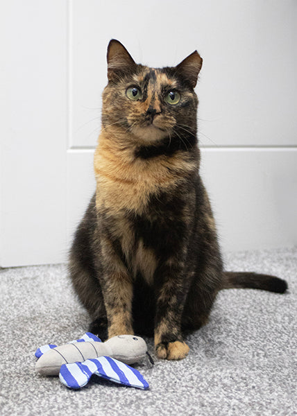 Battersea Butterfly & Dragonfly Duo Cat Toy
