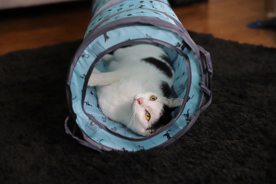 Battersea Pop Up Play Tent & Tunnel for Cats