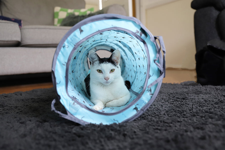 Battersea Pop Up Play Tent & Tunnel for Cats