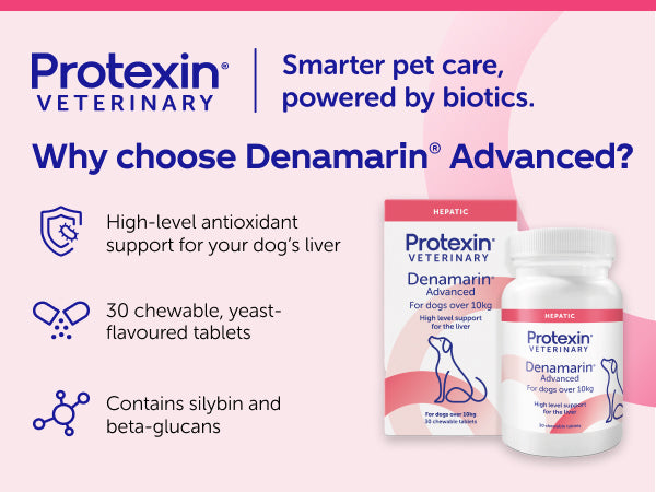 Protexin Denamarin Advanced For Dogs Over 10kg (30 tablets)