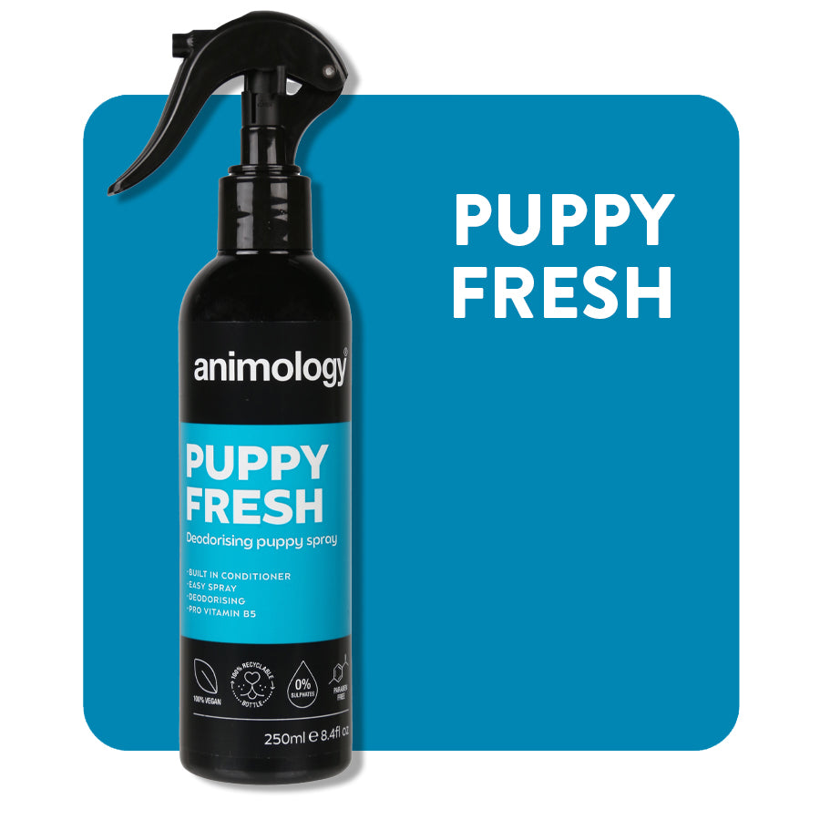 Animology Paws & Relax Aromatherapie-Spray – 250 Ml, Beruhigend Für Hunde
