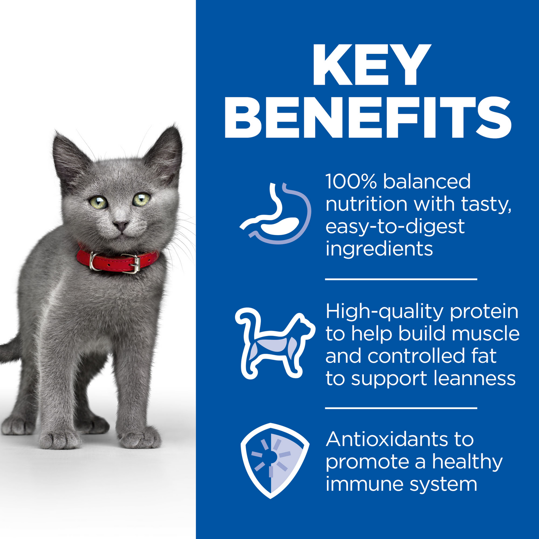 Hill's™ Science Plan Sterilised Kitten Dry Food Chicken