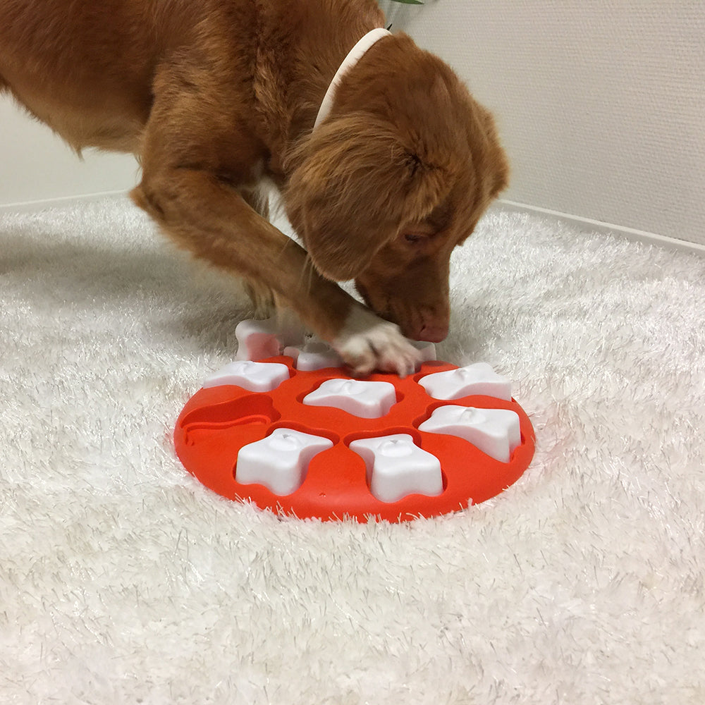Nina Ottosson Dog Smart Orange