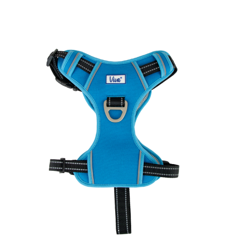 Viva Exercise & Travel Harness Blue (4 sizes)
