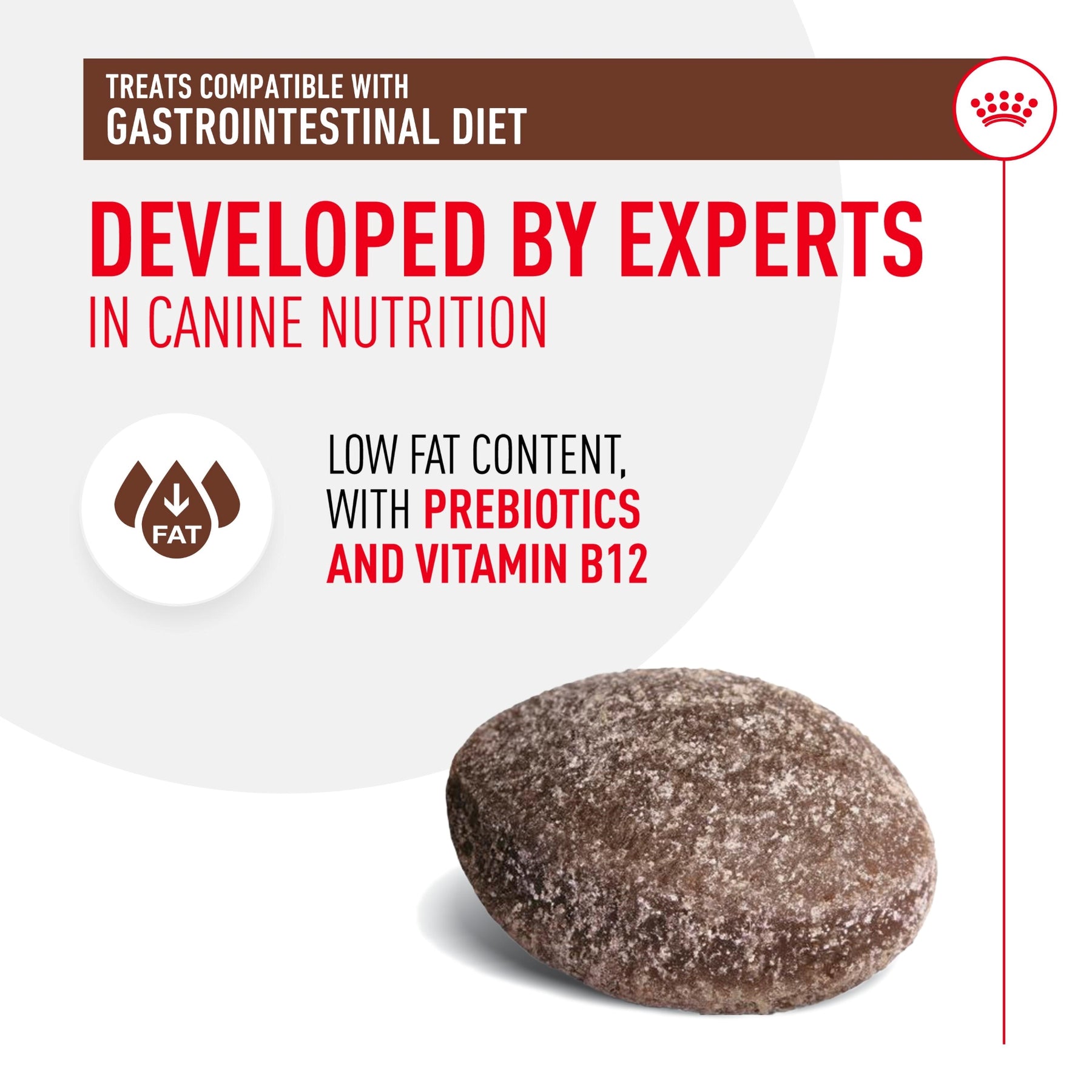 ROYAL CANIN Gastrointestinal Treats 230g