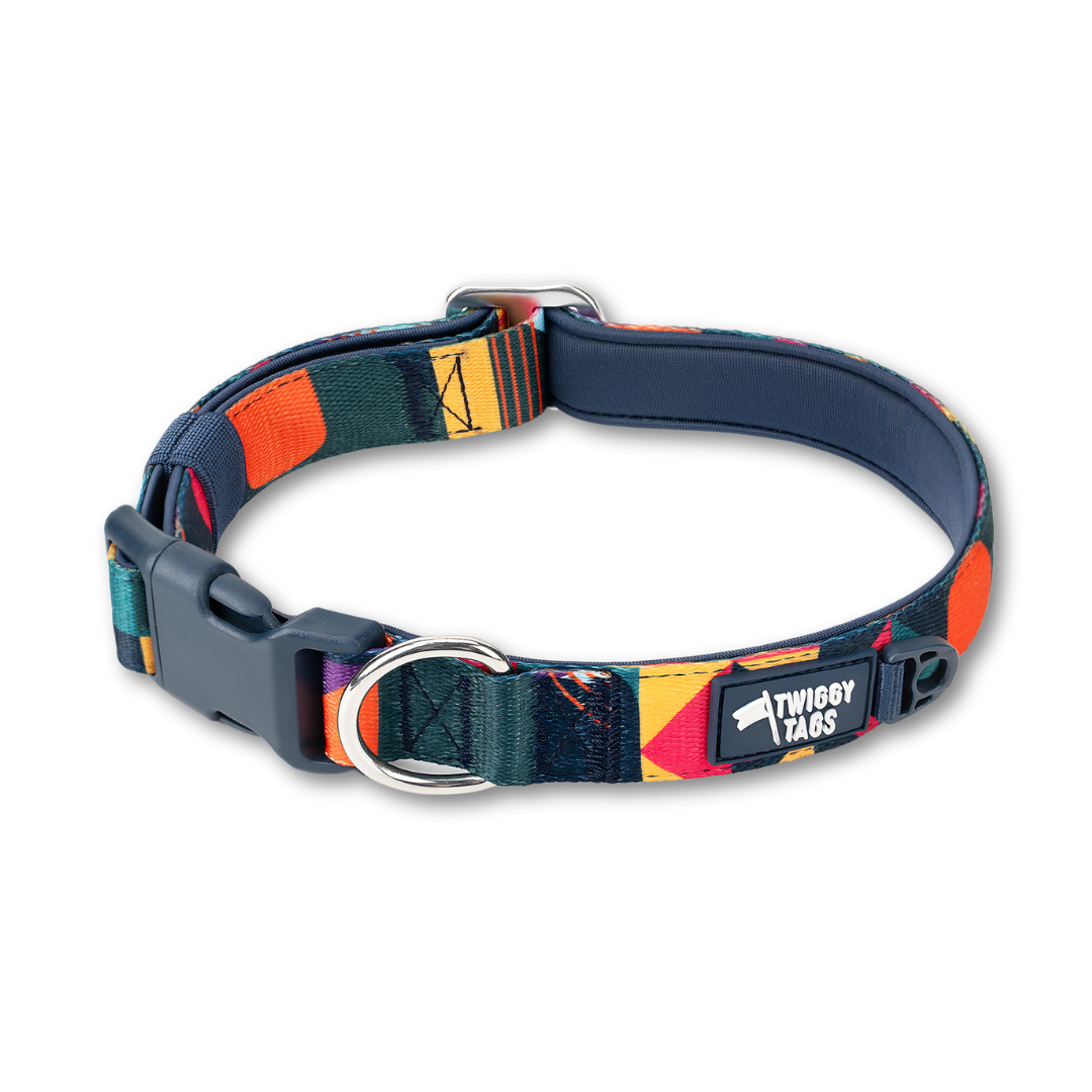 Twiggy Tags Aurora Adventure 2.0 Collar (5 sizes)
