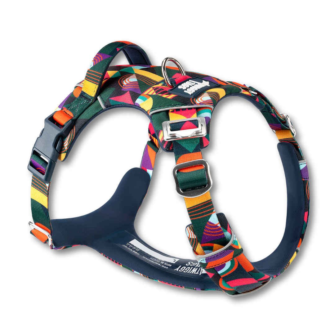 Twiggy Tags Aurora Adventure 2.0 Harness (6 sizes)