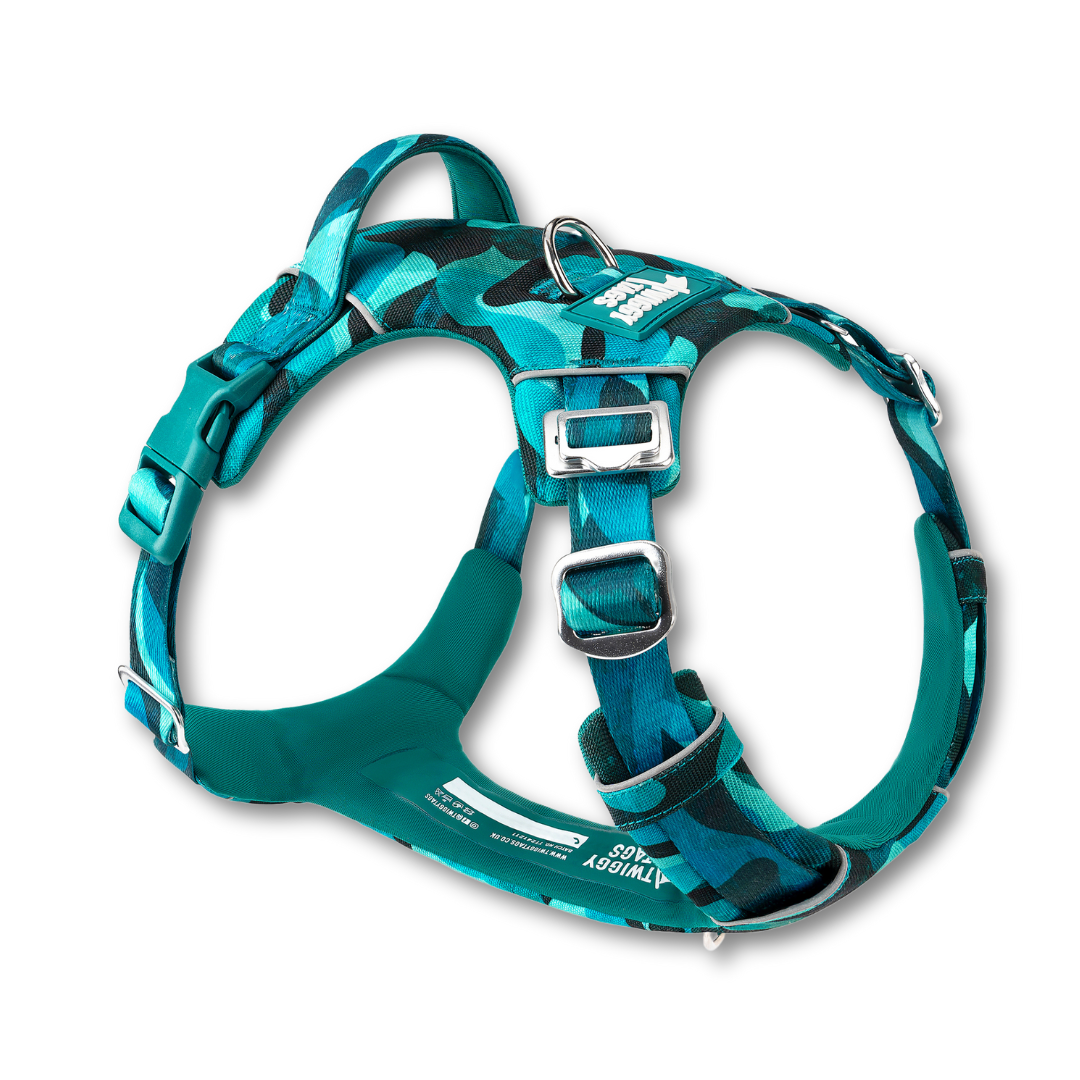 Twiggy Tags Lagoon Adventure 2.0 Harness (6 sizes)