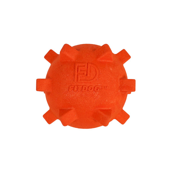 Rosewood Fit Dog Spikey Ball Launcher