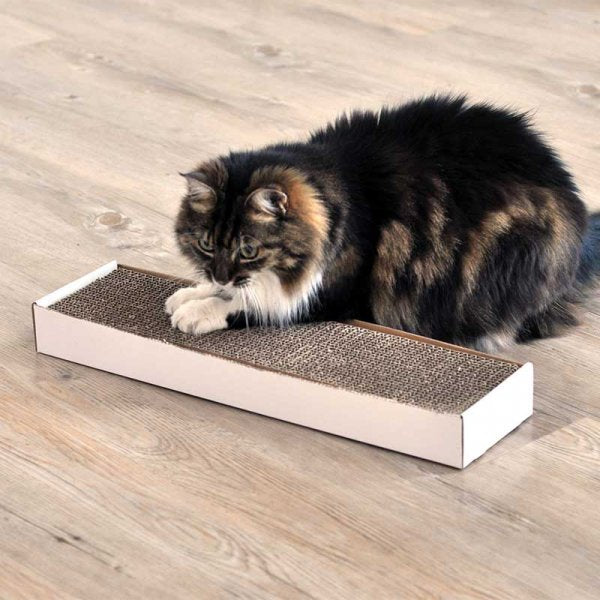 Zoon Nip-it Catnip Scratch Pad Cat Toy