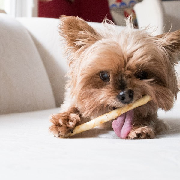 Earth Animal No Hide Venison Dog Stix