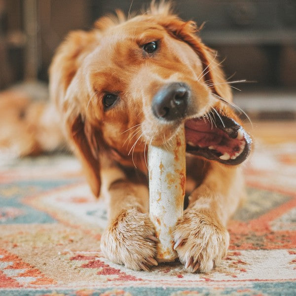 Earth Animal No Hide Beef Dog Chews (2 sizes)