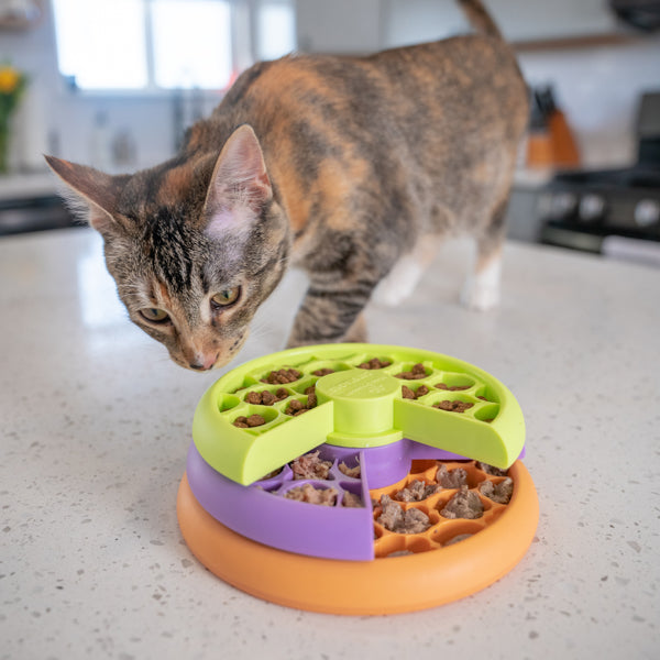 Nina Ottosson Catstages Puzzle and Feeder in one