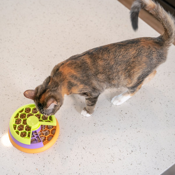 Nina Ottosson Catstages Puzzle and Feeder in one