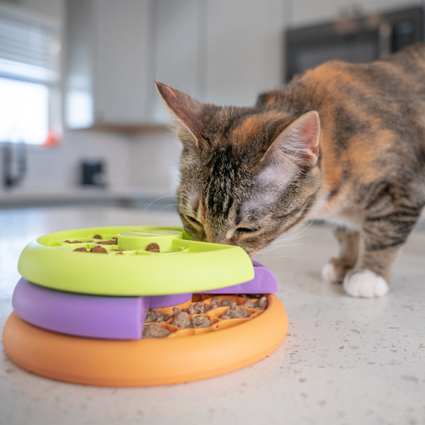 Nina Ottosson Catstages Puzzle and Feeder in one