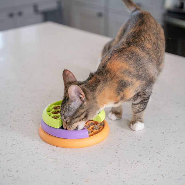 Nina Ottosson Catstages Puzzle and Feeder in one