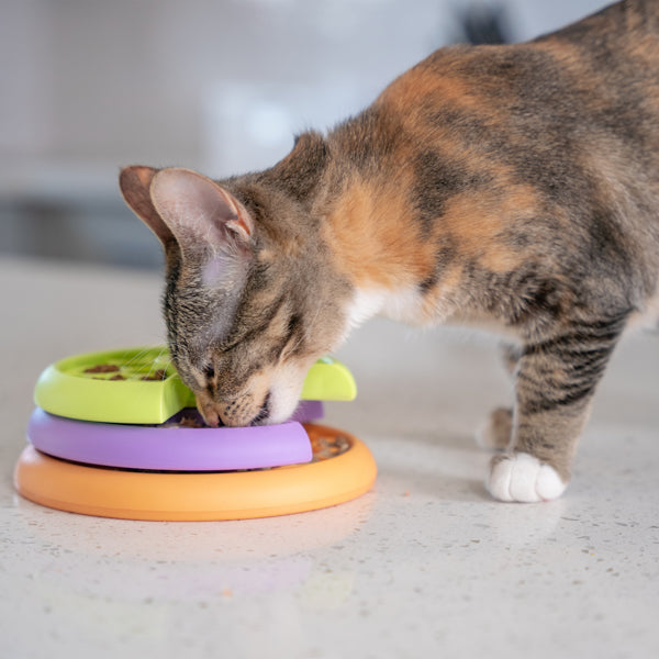 Nina Ottosson Catstages Puzzle and Feeder in one