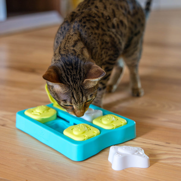 Nina Ottosson Catstages Cat Puzzle Toy