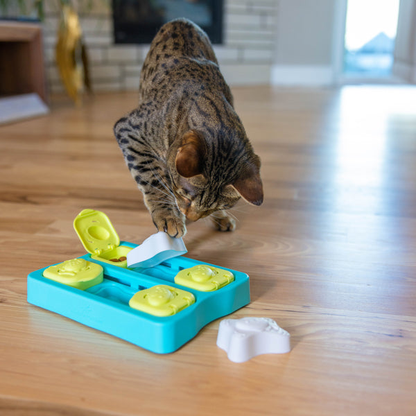 Nina Ottosson Catstages Cat Puzzle Toy