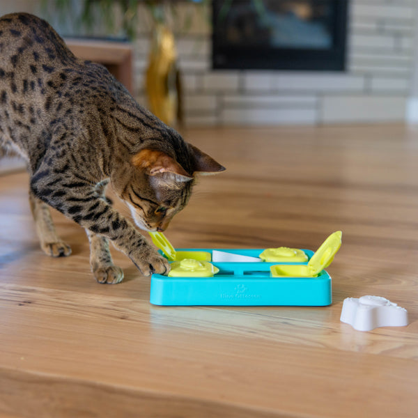 Nina Ottosson Catstages Cat Puzzle Toy