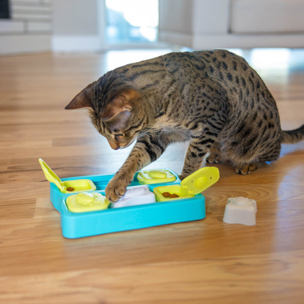 Nina Ottosson Catstages Cat Puzzle Toy