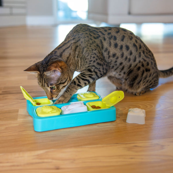 Nina Ottosson Catstages Cat Puzzle Toy