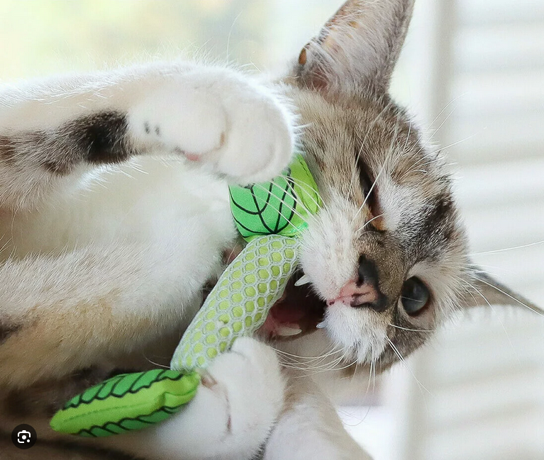 Nina Ottosson Catstages Fresh Breath Mint Stick Cat Toy