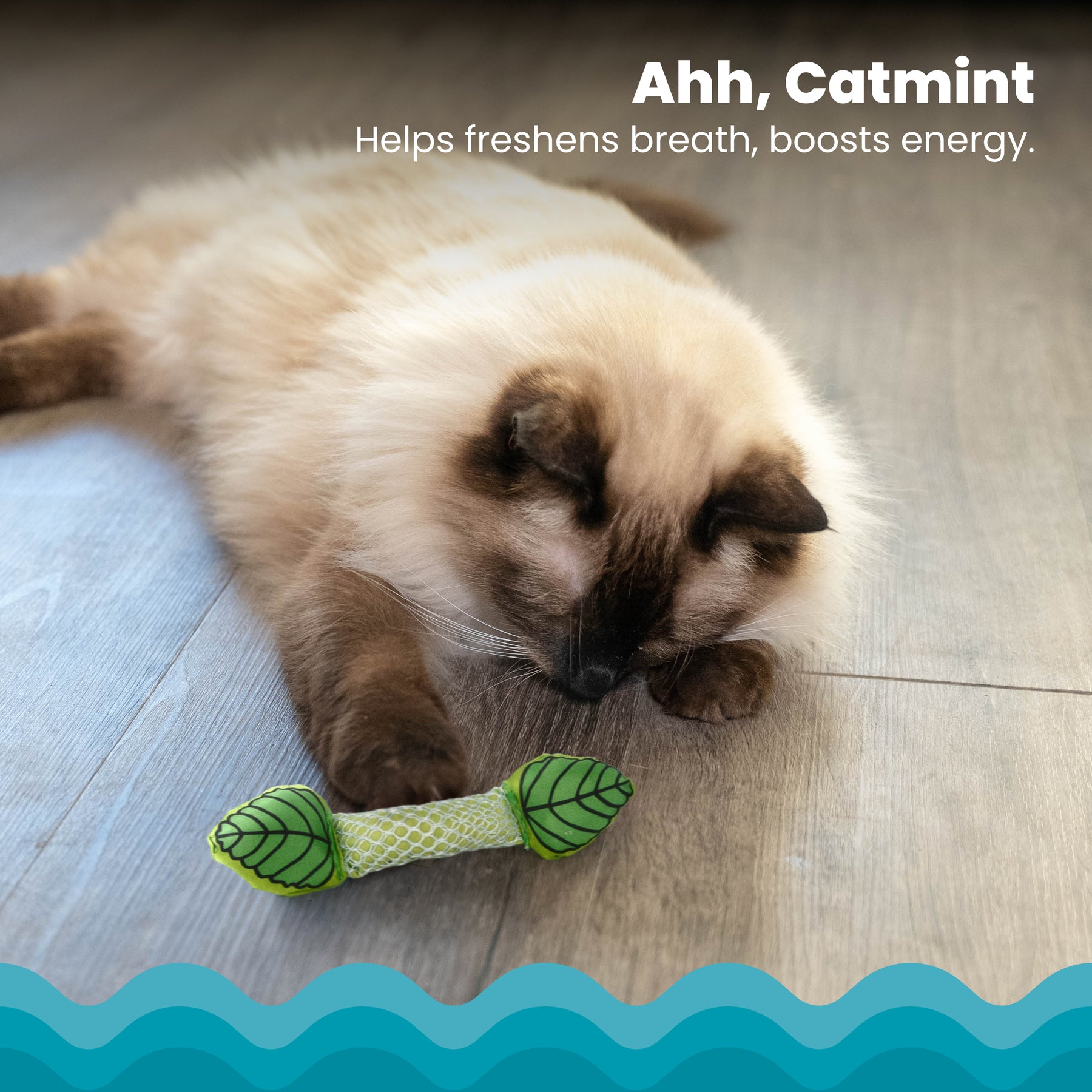 Nina Ottosson Catstages Fresh Breath Mint Stick Cat Toy