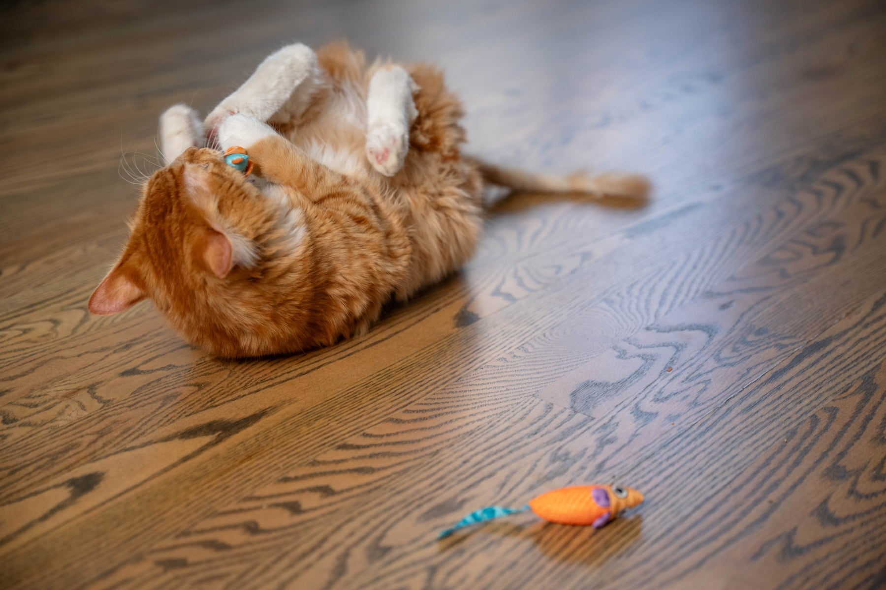 Nina Ottosson Catstages Catnip Chew Mice Cat Toy