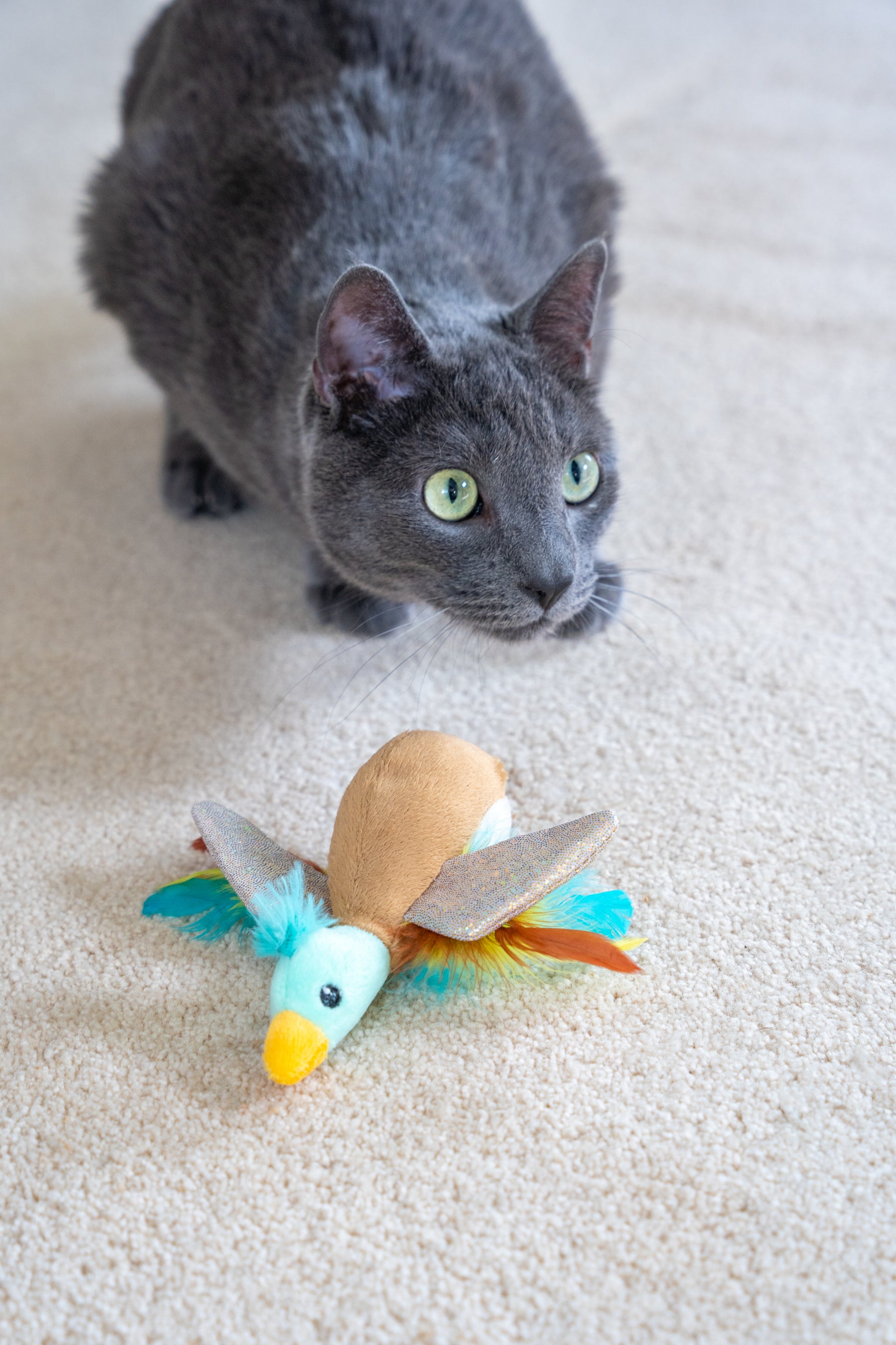 Nina Ottosson Catstages Flapperz Duck Cat Toy