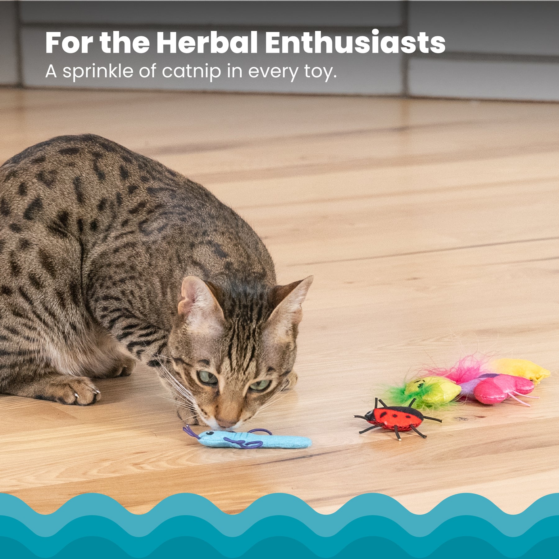 Nina Ottosson Catstages Cute as a Bug 6 pack Cat Toys