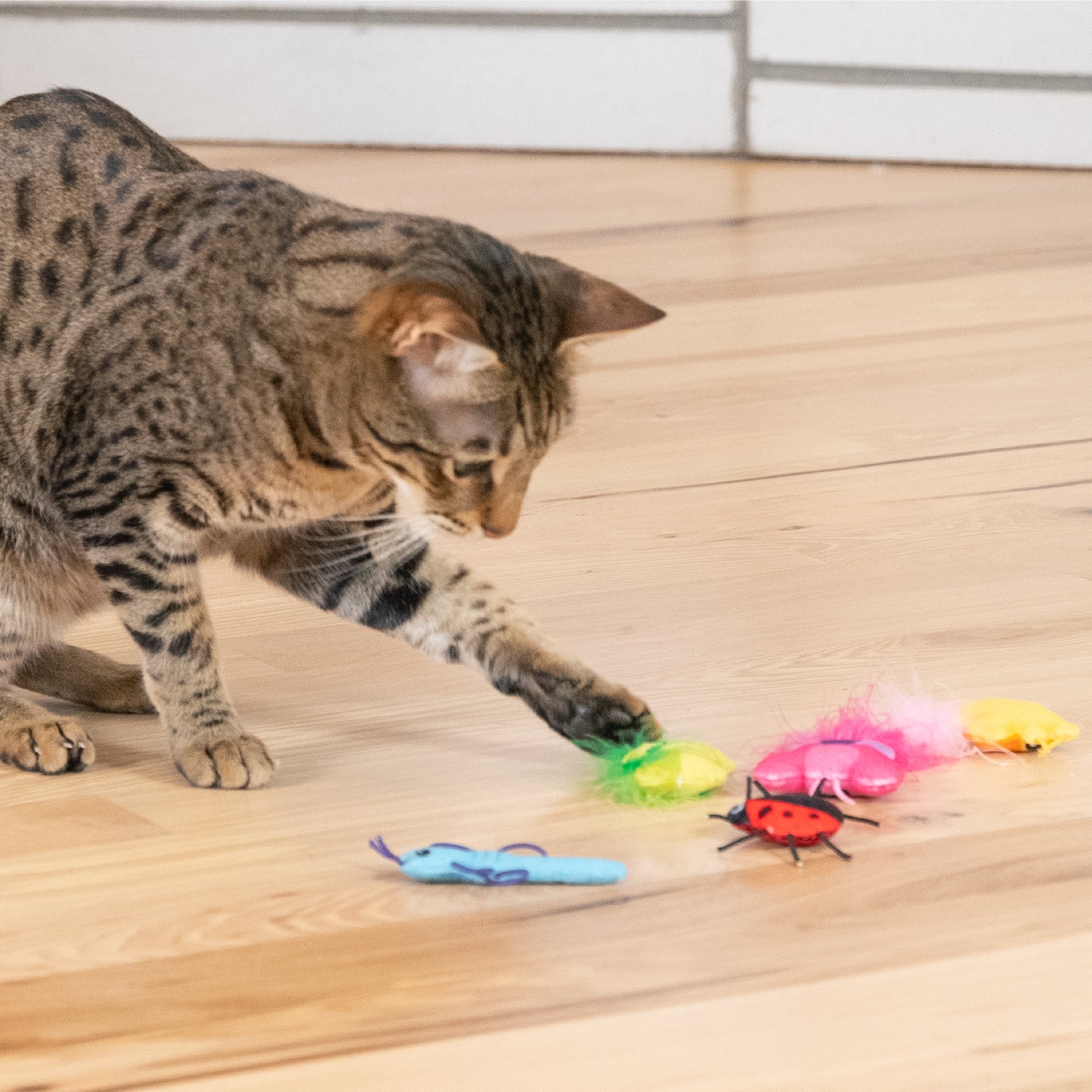 Nina Ottosson Catstages Cute as a Bug 6 pack Cat Toys
