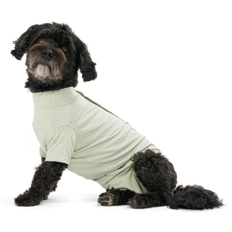 Body Suit Dog Step'n Go Dusty Green (5 sizes)