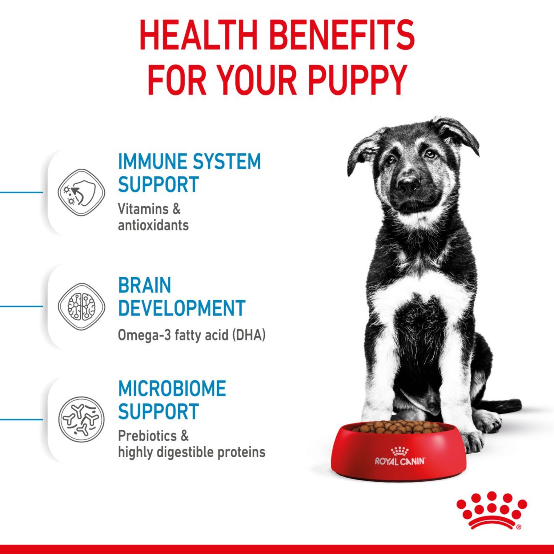ROYAL CANIN® - Mini Puppy Dry Food