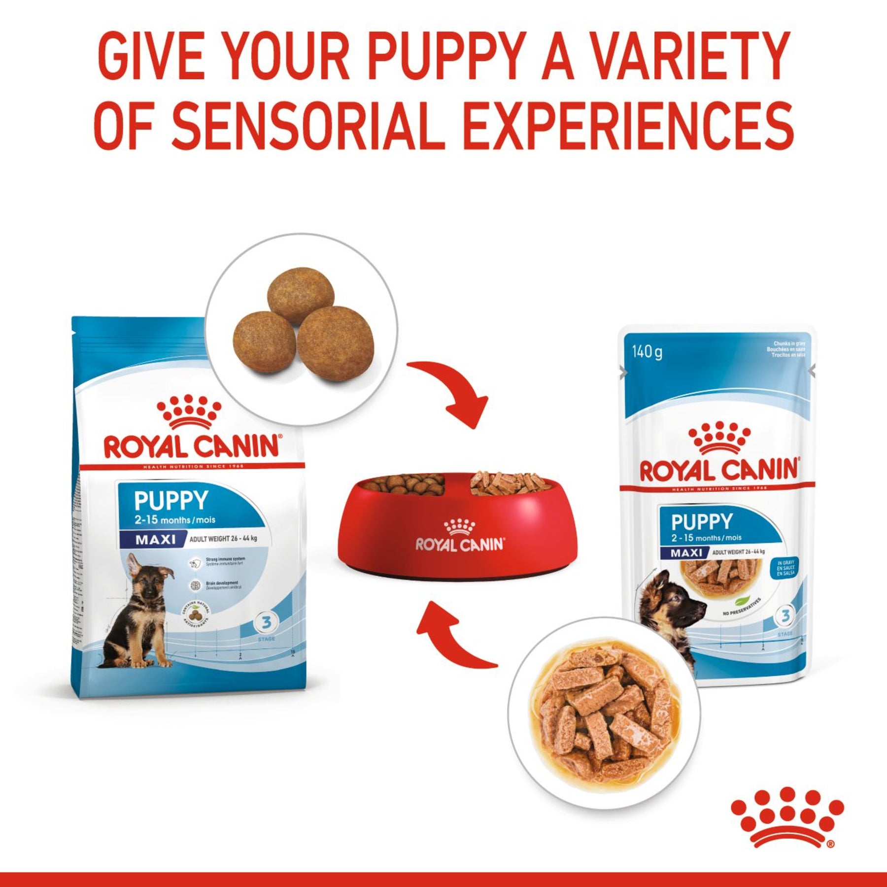 ROYAL CANIN® - Mini Puppy Dry Food