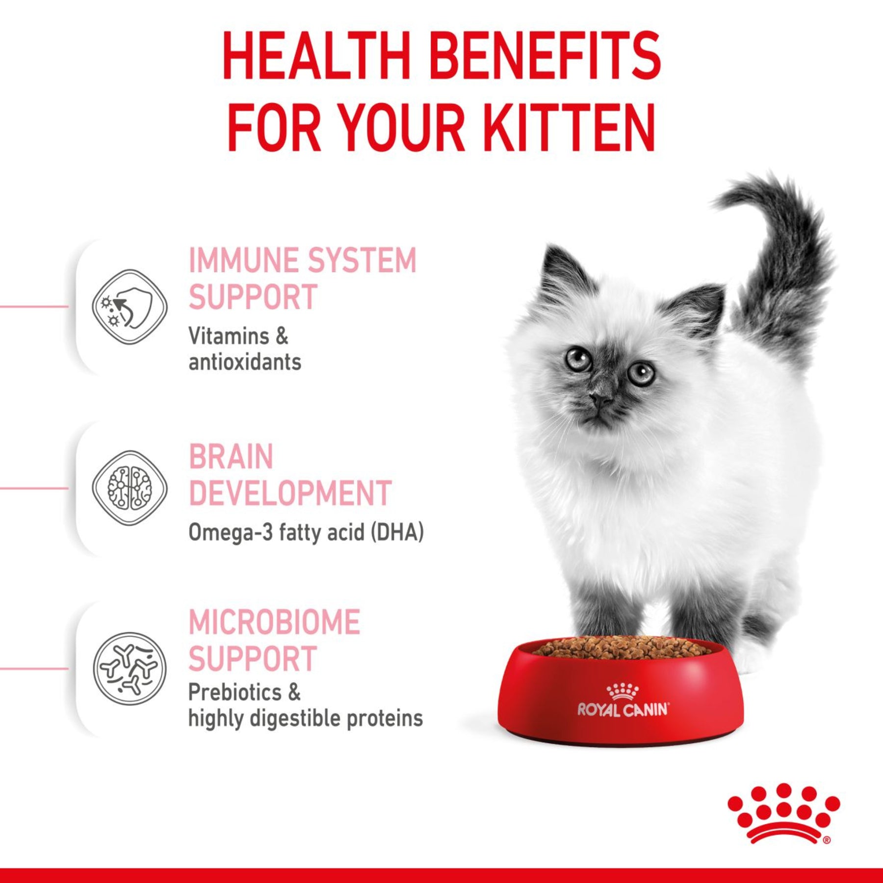 ROYAL CANIN Kitten Dry Food