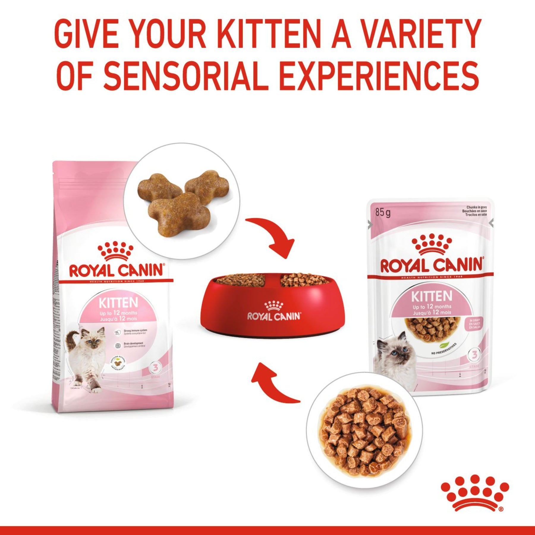 ROYAL CANIN Kitten Dry Food