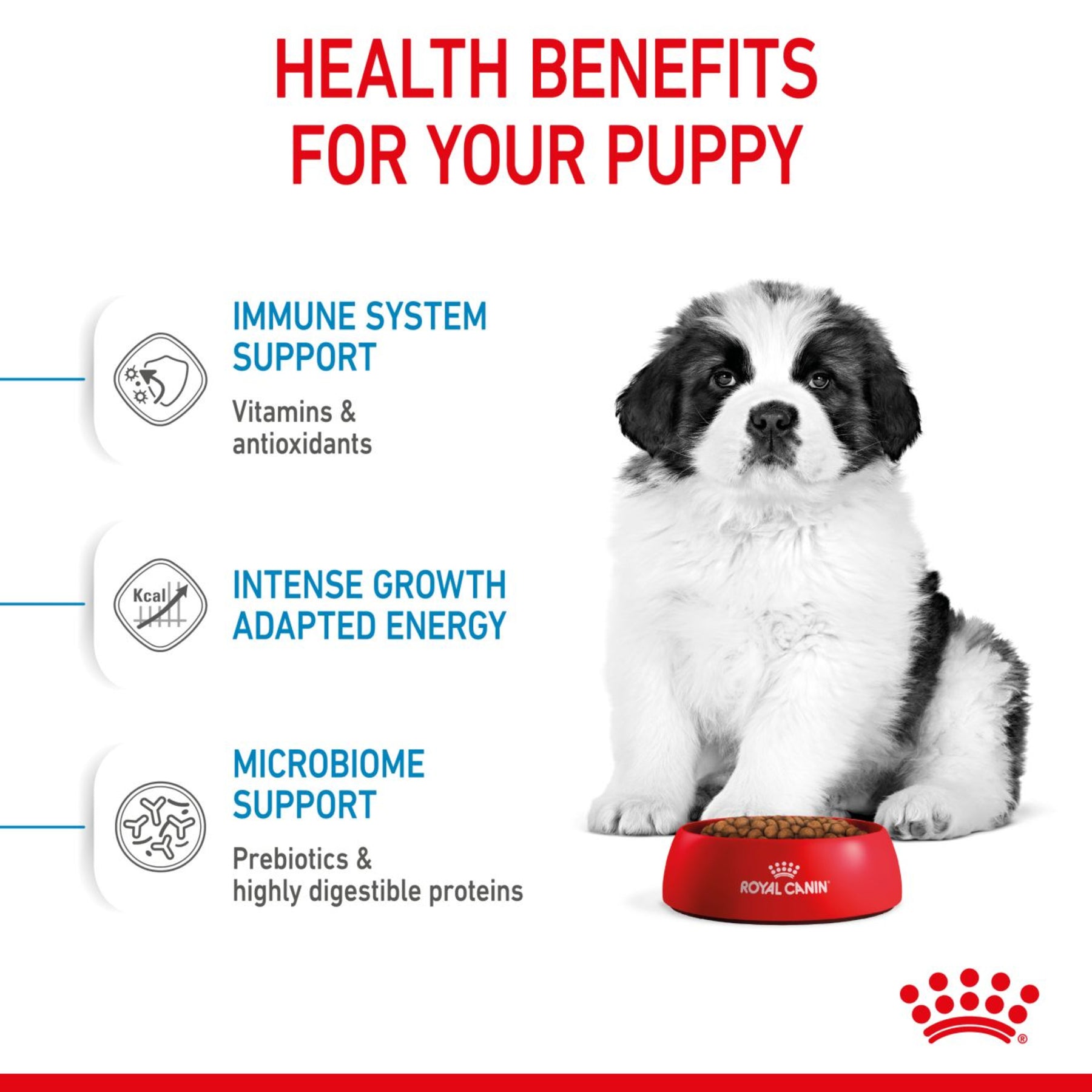 ROYAL CANIN® Puppy Giant Dog Dry Food