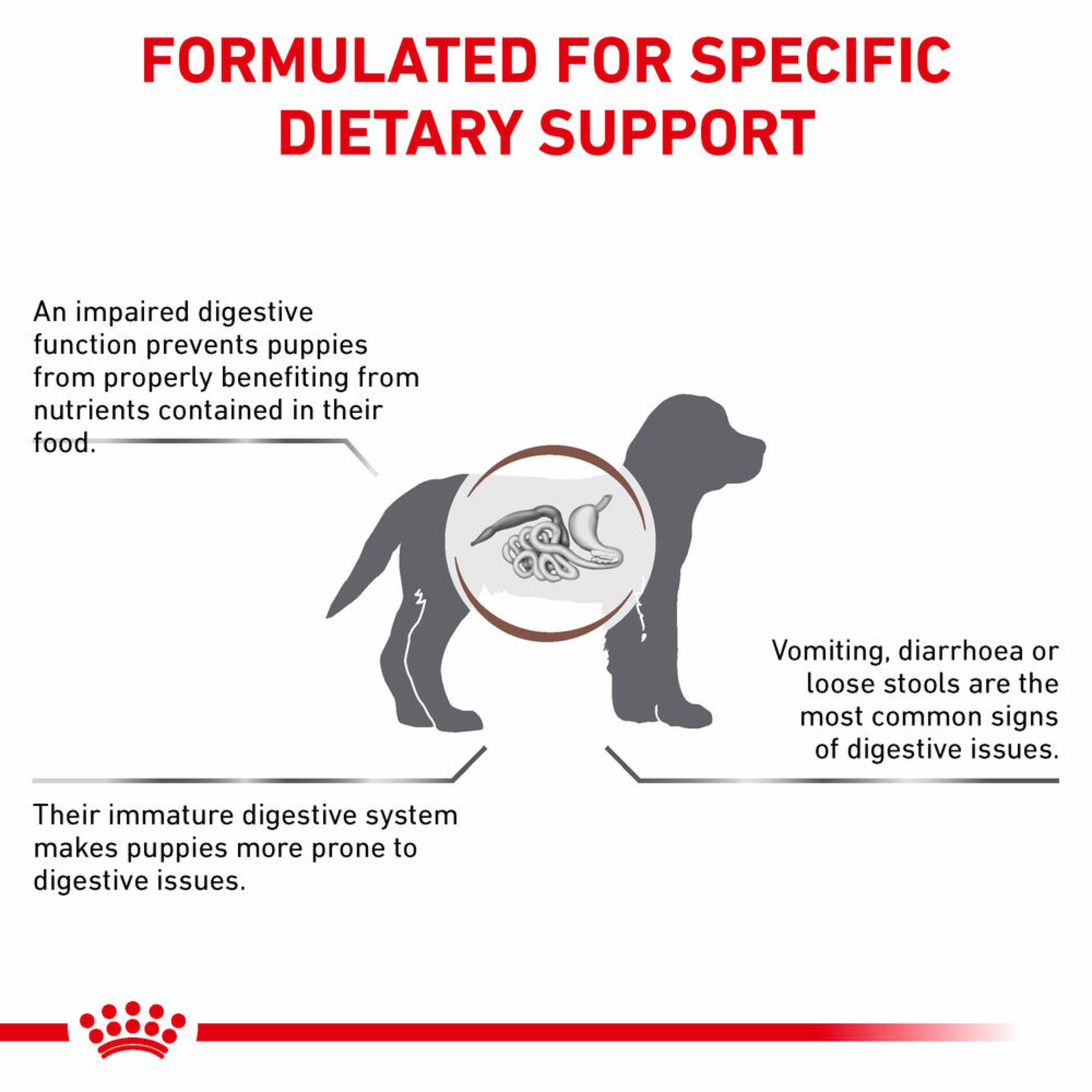 ROYAL CANIN Gastrointestinal Puppy Dry Dog Food